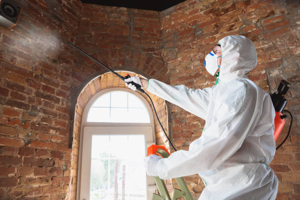 Mold Remediation for Rental Properties in Grenada, MS